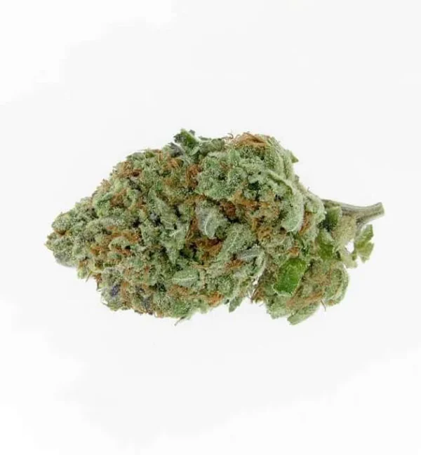 Alien-OG