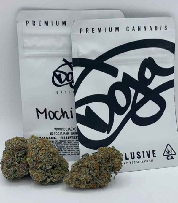 Doja-Exclusive-Mochi-3 (1)